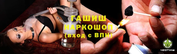 spice Богданович