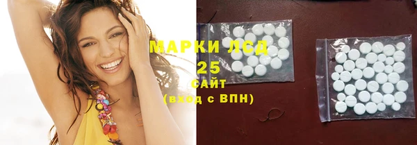 spice Богданович