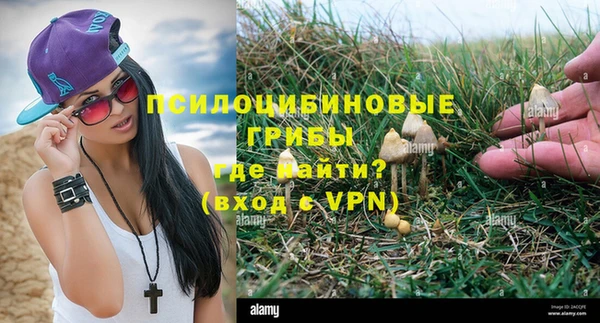 бошки Богородицк