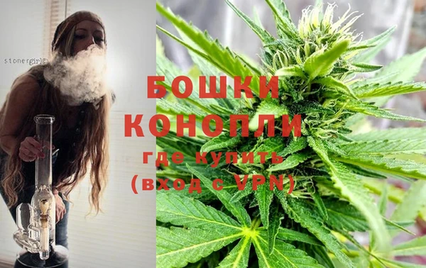 бошки Богородицк